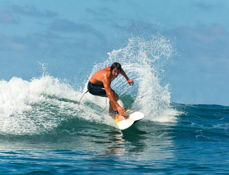 サーフィン 素材